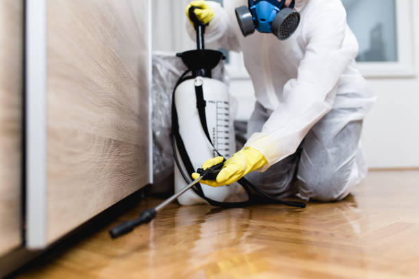 Best Wasp Removal Services  in Aurora, CO