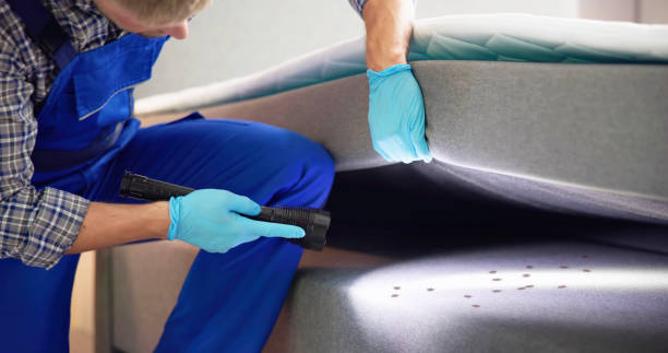 Best Affordable Pest Control Services  in Aurora, CO