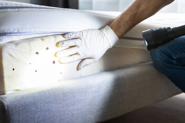 Best Bed Bug Extermination  in Aurora, CO