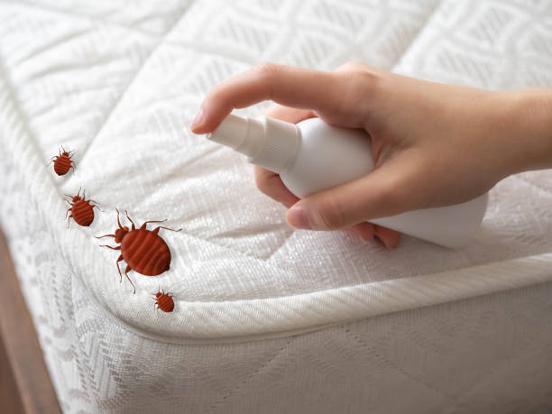 Best Affordable Pest Control Services  in Aurora, CO